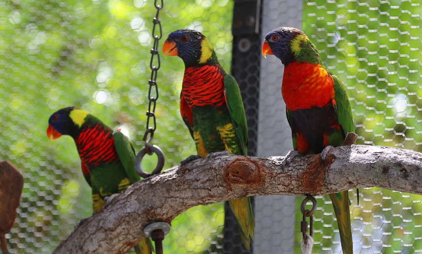 Butterfly World in Coconut Creek, FL Groupon