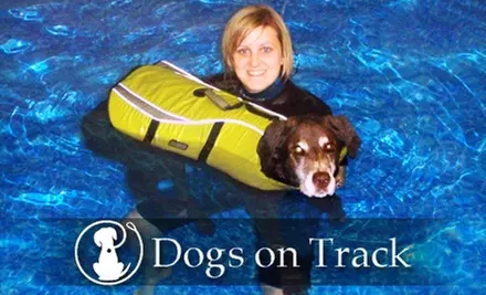 $30 for a Seven-Visit Punch Card ($70 Value) or $25 for a One-Month Membership ($50 Value) at Dogs on Track - Primary Image