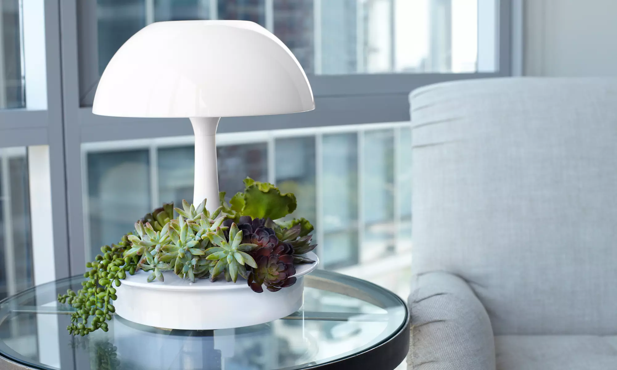 SageGreenLife Ambienta Grow Lamp and Soil-Free Plants - Primary Image