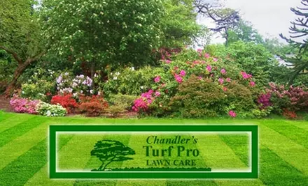 $45 for $100 Worth of Greenery Maintenance from Chandler's Turf Pro Lawn Care - Primary Image