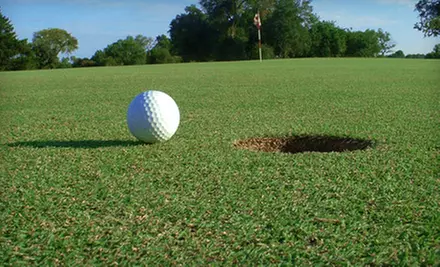 $32 for Nine-Hole Golf Outing for Two with Cart Rental, Pizza, and Wings at Riverton Golf Club in West Henrietta (Up to $66 Value) - Primary Image