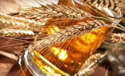 $64 for a First-Time Brewer Starter Kit and Ingredients Package from Midwest Homebrewing and Winemaking Supplies - Primary Image