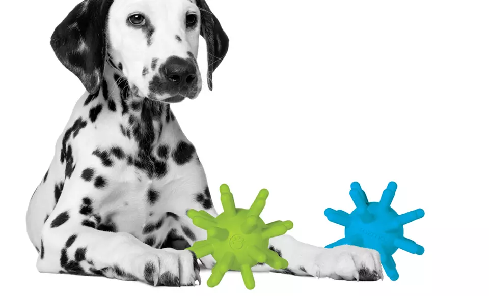 Petprojekt Dog Toys. Free Shipping and Returns. - Primary Image
