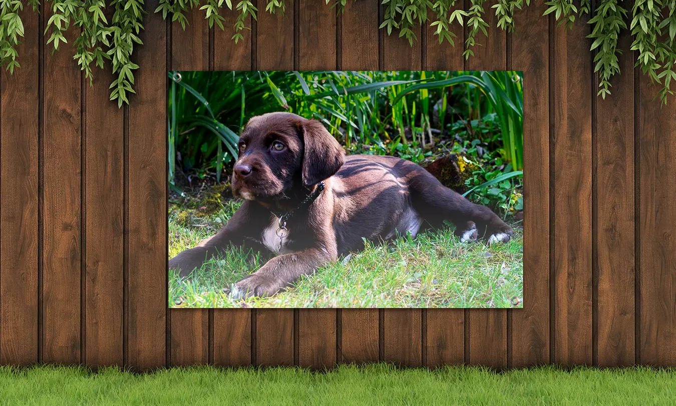 Je foto op een tuinposter