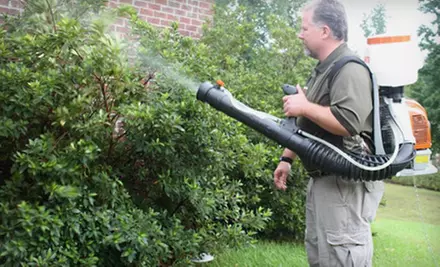 Mosquito or General-Pest Control from Advantage Pest Services - Primary Image