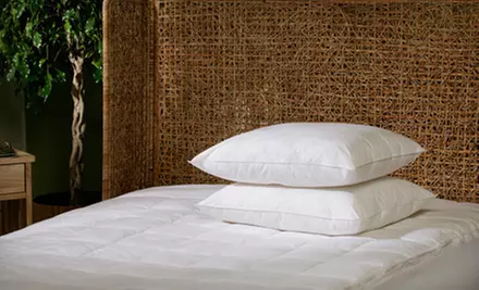 $29 for a Two-Pack of Coolmax Premium Comfort Pillows ($59.99 List Price) - Second Medium