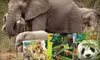 $15 for a One-Year Subscription to "Zoobooks," "Zoobies," or "Zootles" Magazines ($29.95 Value)