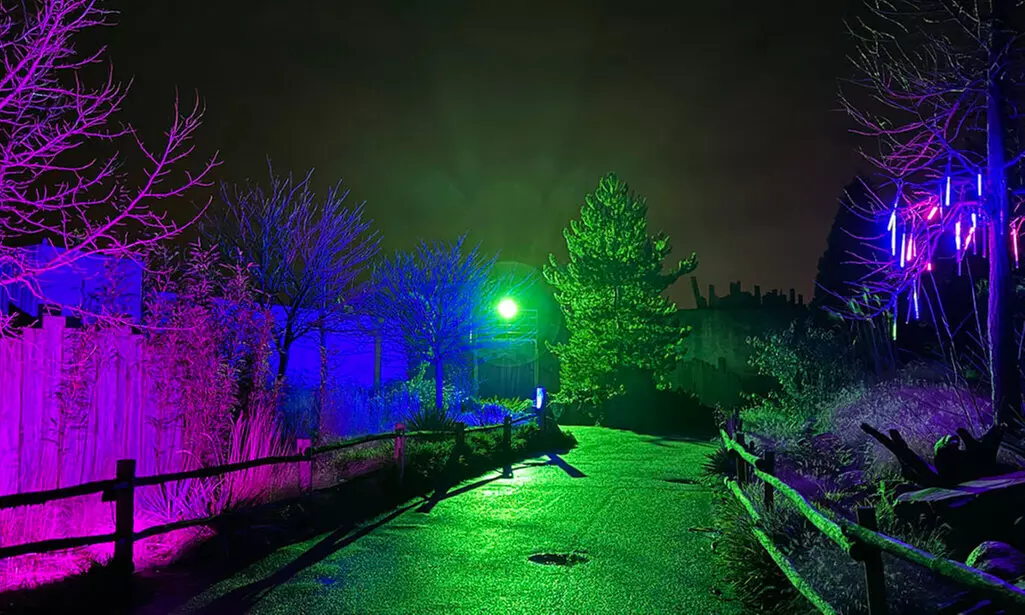 Einrittskarte "Dolfinarium" in Harderwijk, Niederlande für 1 Person