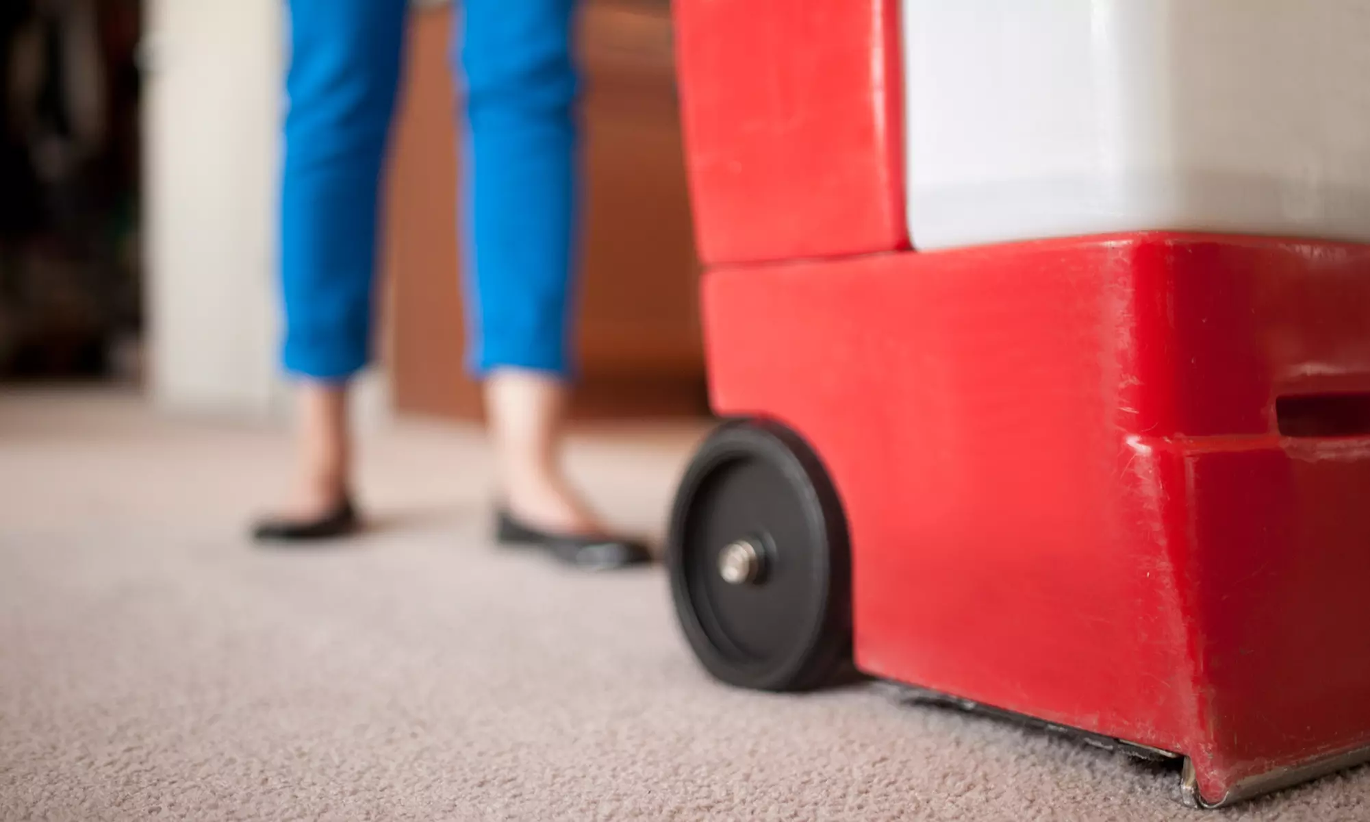 Deep Carpet Cleaning for Two Rooms or the Whole House with Free Stainguard & Deodorizer (Up to 61% Off) - Primary Image