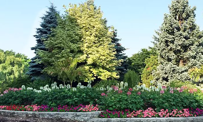 C$109 for a Two-Hour Wedding Photo Permit at Humber Arboretum (C$200 Value)  - Primary Image