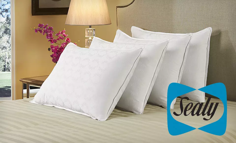$35 for Four 300-Thread-Count Sealy Damask Pillows ($99.99 List Price). Free Shipping and Free Returns. - Primary Image