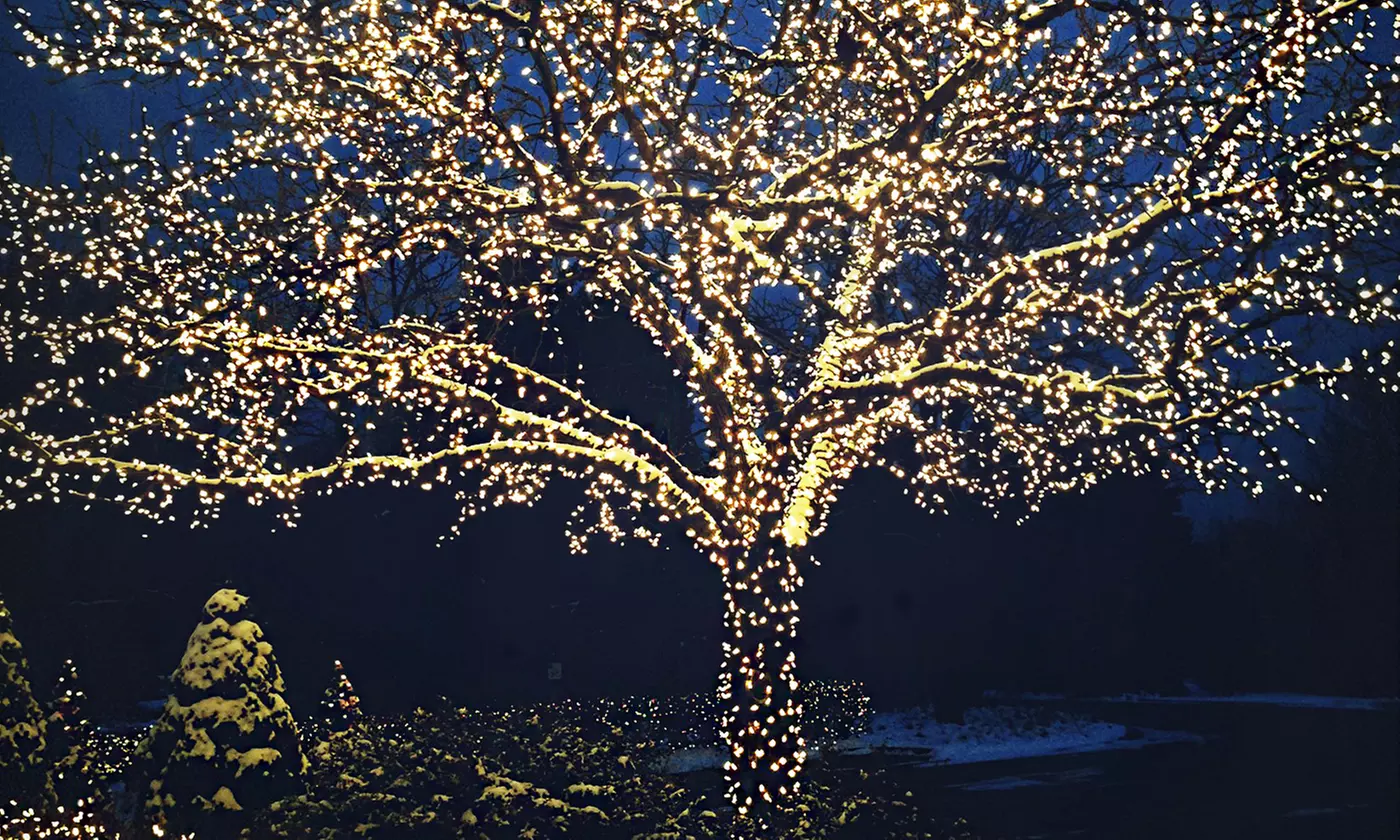 17-Meter White LED Solar-Powered Fairy Lights - Primary Image