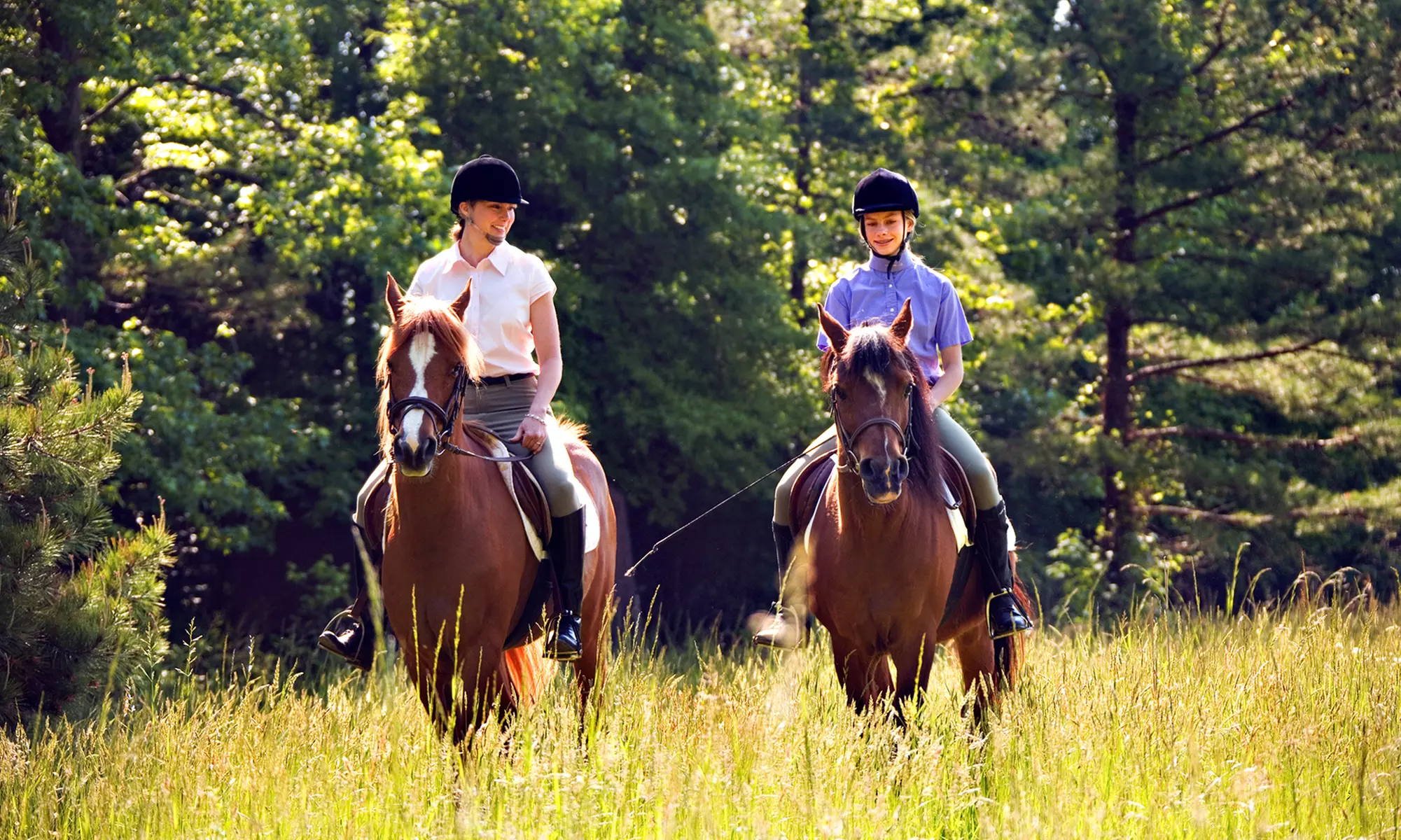 One or Three Horseback-Riding Lessons at Ridgeview Stables (Up to 50% Off) - Primary Image