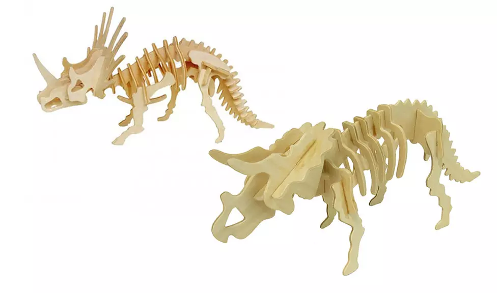 3D Wooden Dinosaur Triceratops or Styracosaurus Puzzle Set - Primary Image