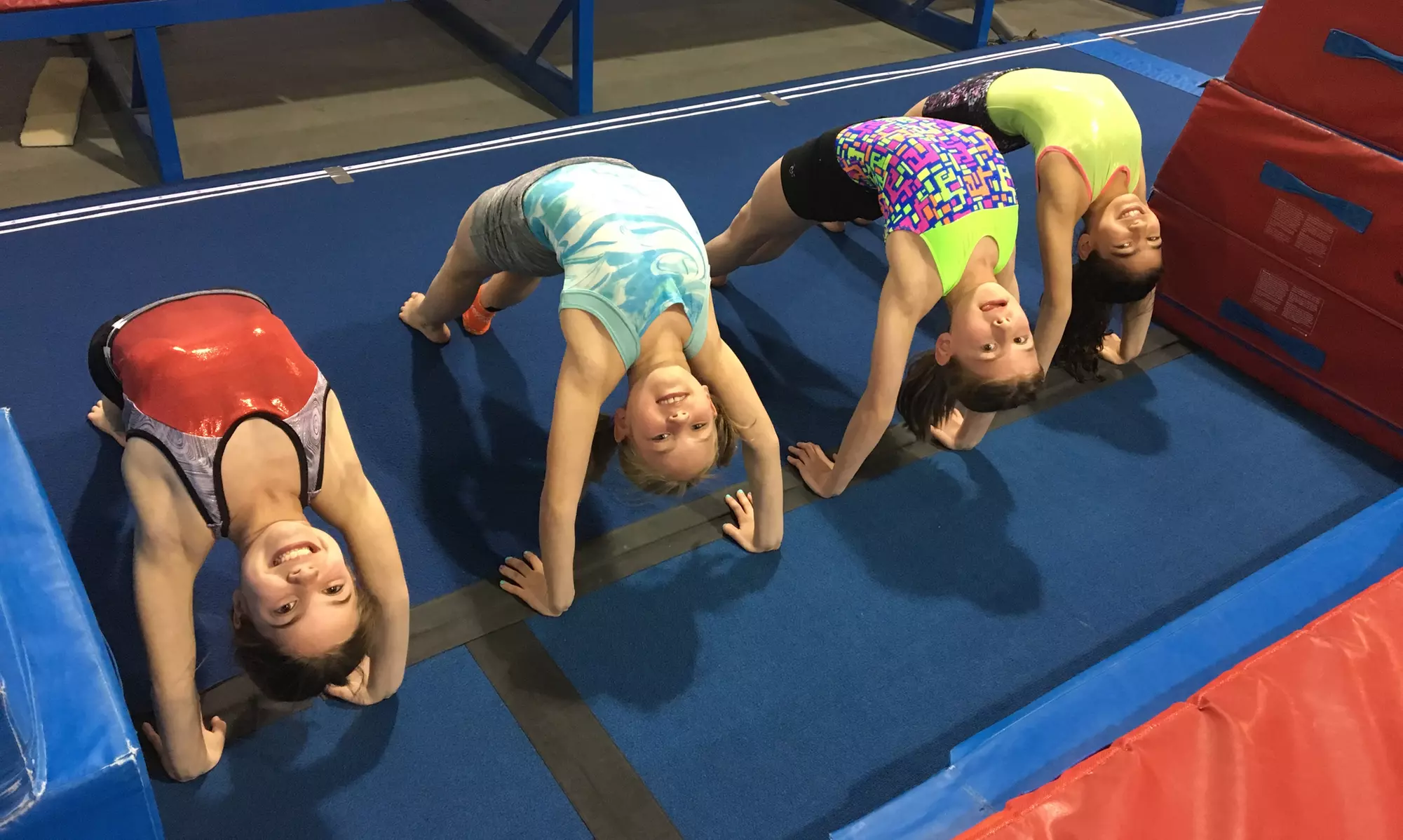 3 Adult Gymnastics Classes or 3 Classes of Gym Fun for Families at Ajax Acro's Gymnastics Club (Up to 38% Off)  - Primary Image