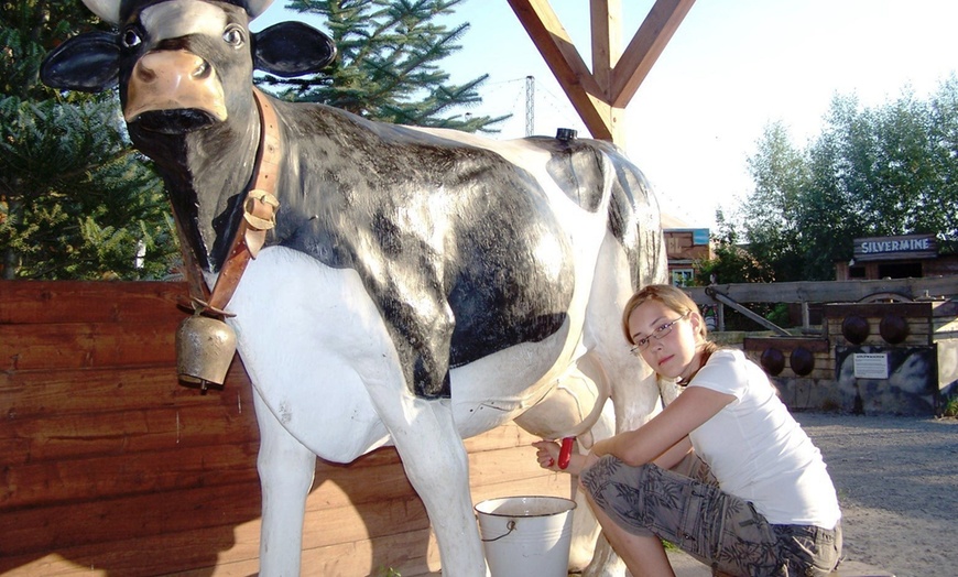 Image 4: 1 Ticket für den Erlebnispark Memleben für 1 Person ab 3 Jahren