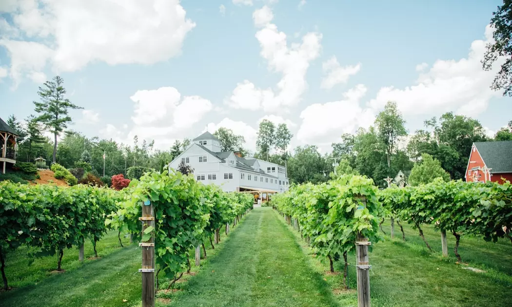 $23 for Two Flights of Wine, Glasses, and Wine Credit for Two at Zorvino Vineyards ($40 Value) - Primary Image