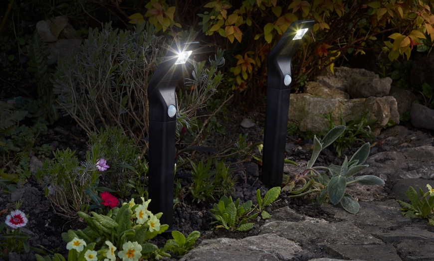 Image 2: Solar-Powered Stake Lights