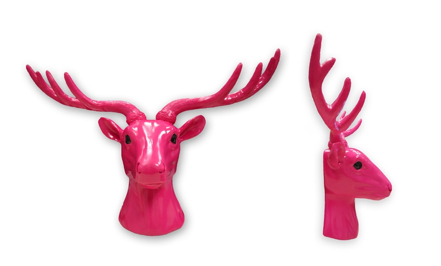 Image 40: Décoration tête d'animaux