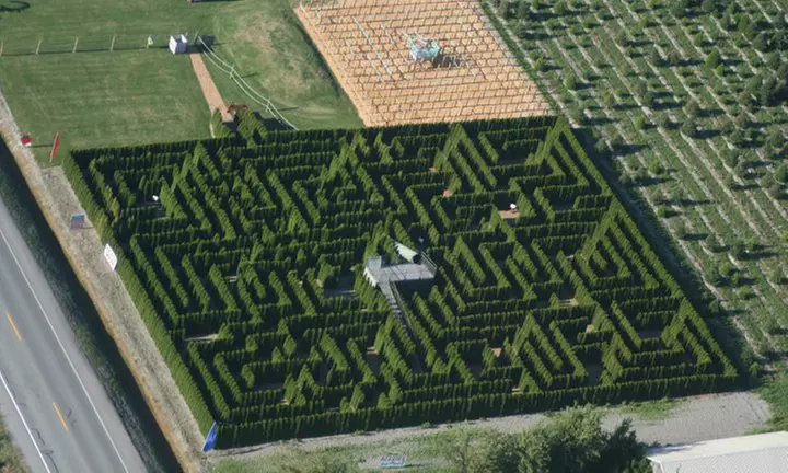 Hedge-Maze Experience for Up to Five at The Berry Barn in June, July, or August (50% Off). 12 Options Available. - Primary Image