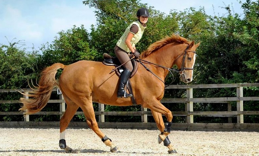 Image 1: Horse Riding Lesson for 1 or 2