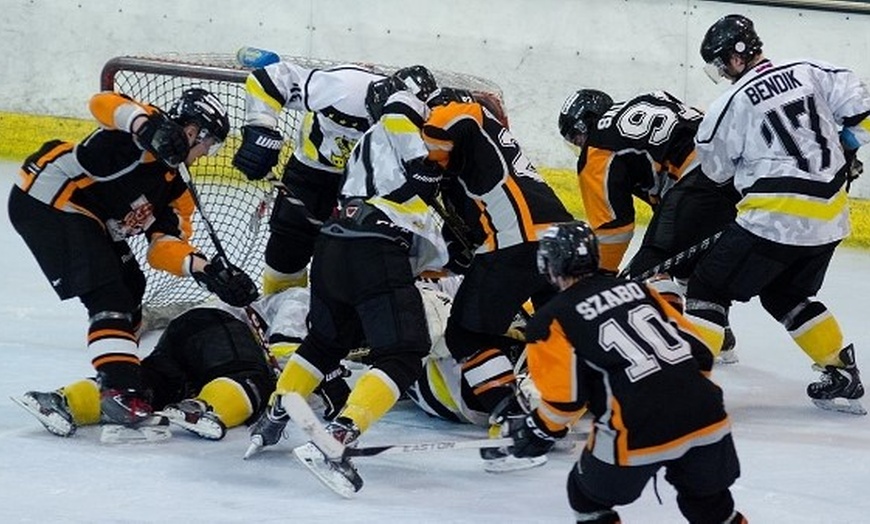 Image 1: Bracknell Bees Ice Hockey Games