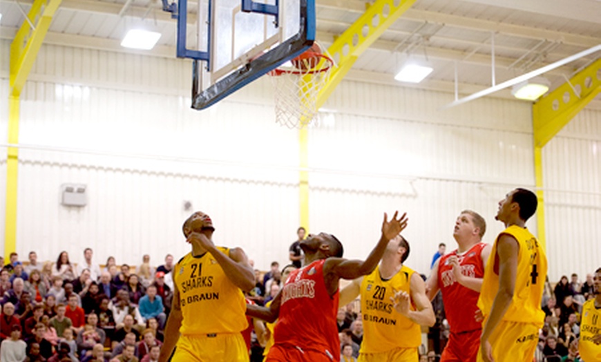 Image 2: Birmingham Knights Basketball