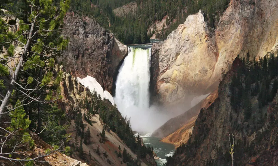 2- or 4-Day Grand Teton and Yellowstone Tour from BrushBuck Wildlife Tours. Price per Person Based on Double Occupancy. - Primary Image