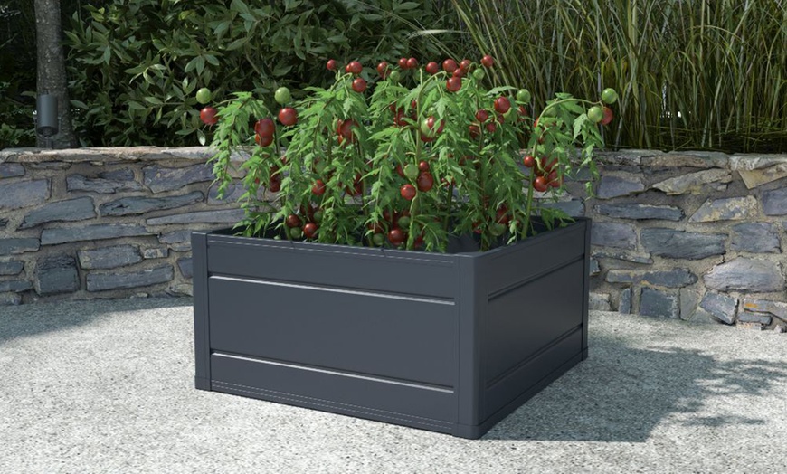 Image 4: Garden Gear High Density Plastic Raised Garden Bed