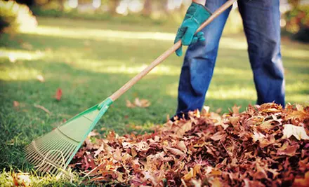 Lawn-Winterizing Package or Fall Cleanup from MBA Yard Services (Half Off) - Primary Image