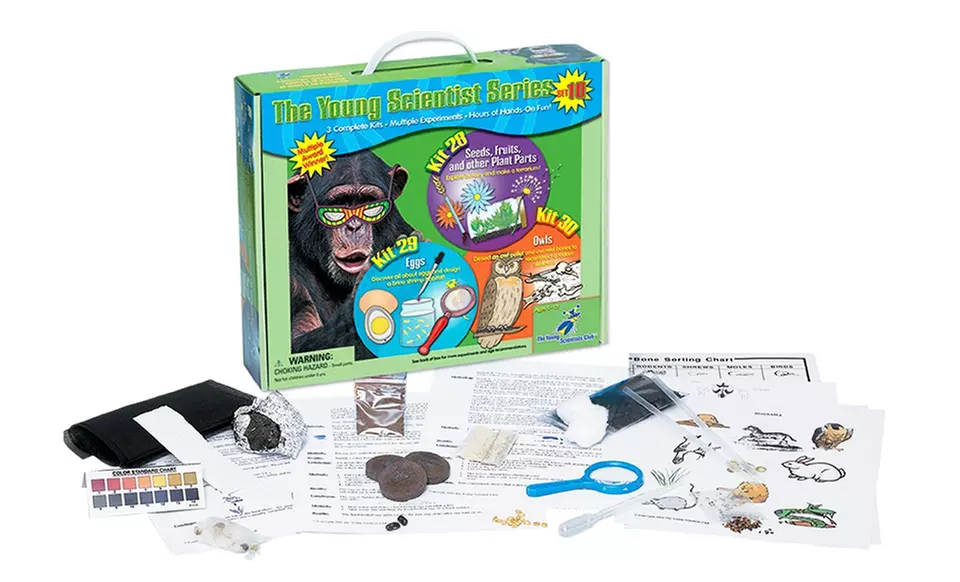 Young Scientists Series Set 10: Seeds, Fruit, and Other Plant Parts/Eggs/Owls. Free Returns. - Primary Image