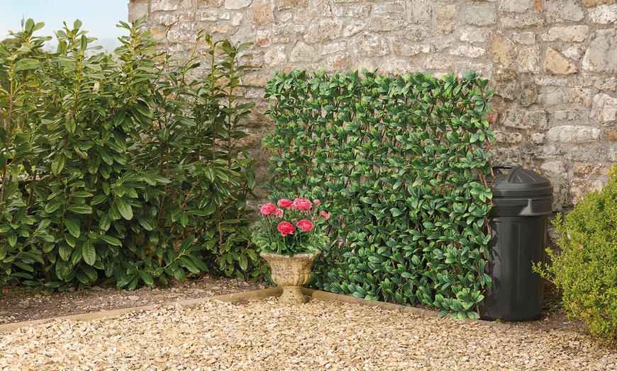 Image 6: One or Two Expandable Artificial Hedge Trellis 1m x 2m