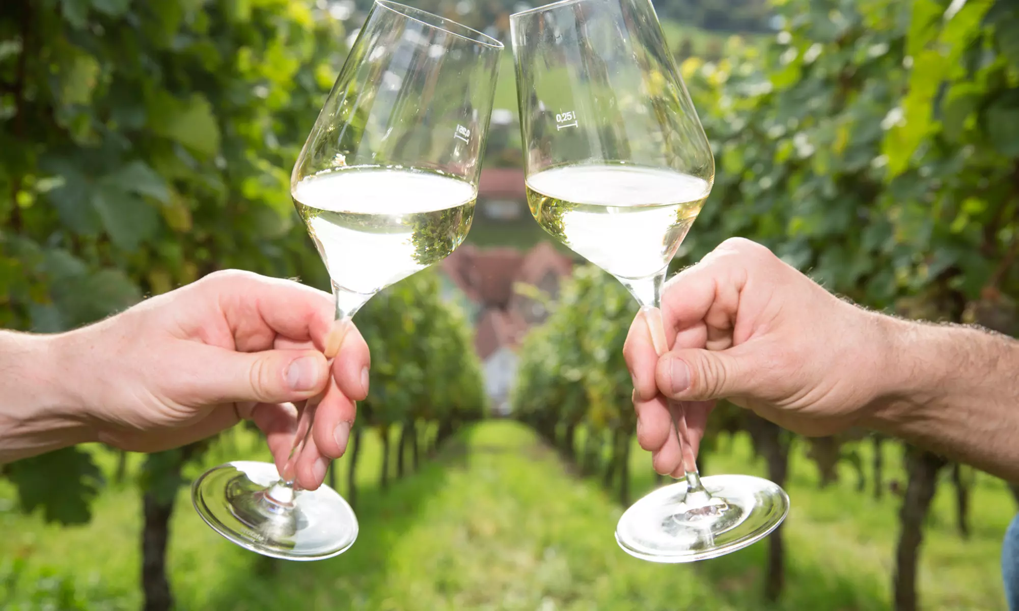 Perfect Gift:Valentine’s Winery&Brewery Experience w/Tasting & Nibbles