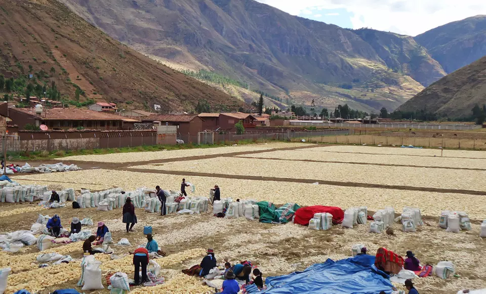 6-Day Peru Vacation with Airfare from Keytours Vacations. Price/Person Based on Double Occupancy. - Second Medium