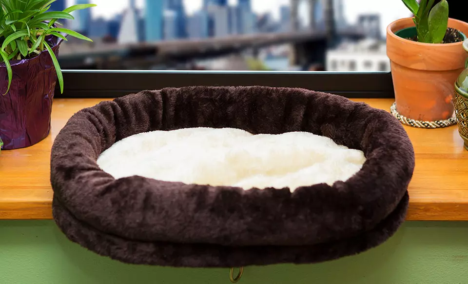 Tiger Tough Window and Desk Cat Perch - Second Medium