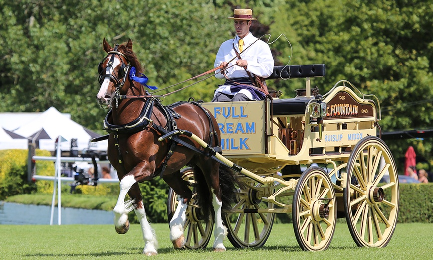 Image 4: Hickstead Horse Show