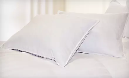 Two-Pack of Smooth or Quilted Natural-Fill Pillows (Up to 52% Off) - Second Medium