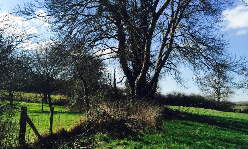 Image 6: Countryside Spring Cream Tea