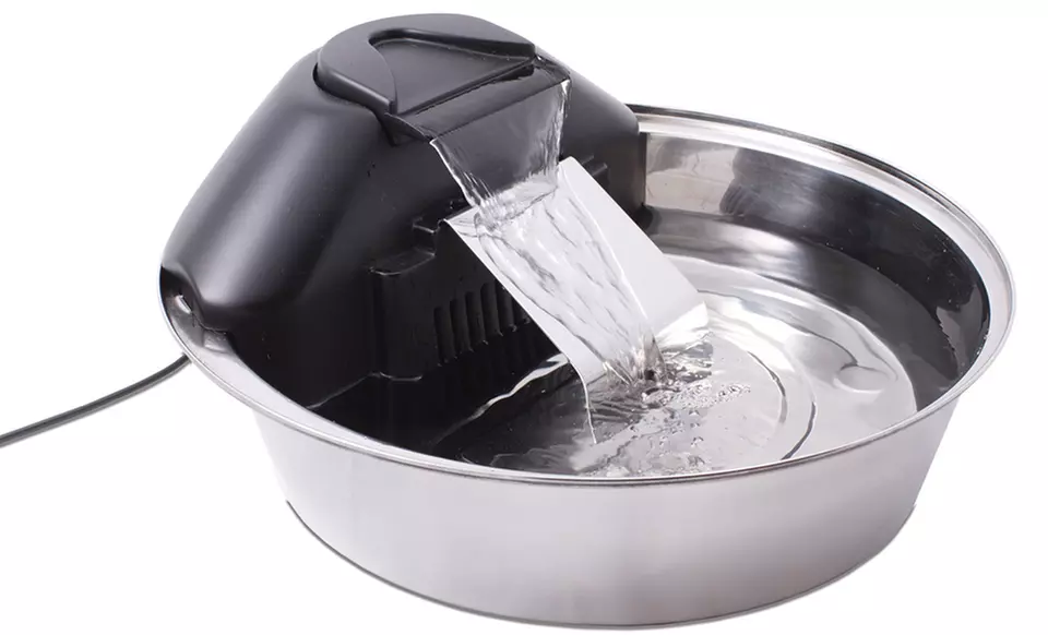 PetSafe Drinkwell Original, Platinum, or Zen Pet Fountains (Up to 44% Off). Free Shipping and Returns. - Second Medium