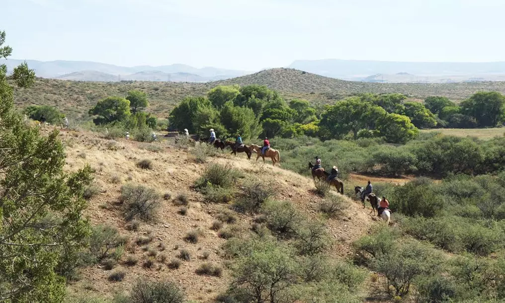 One-Hour Trail Ride For One, Two, or Four at El Conquistador Stables (Up to 38% Off) - Primary Image