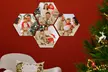 Jouw foto's in hexagon-vorm op forex via Fotoproducten, exclusief verzending - Image 5