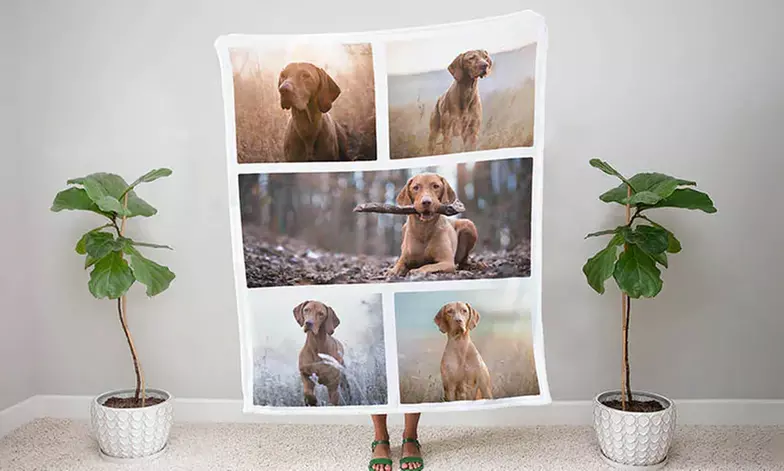 Personalised Fleece Dog Blanket from Printerpix