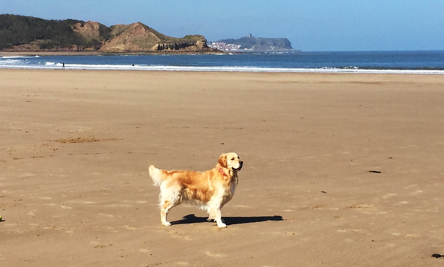 Image 3: Scarborough Seaside Break