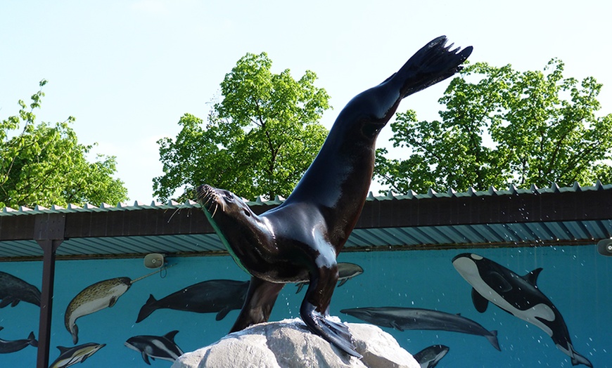 Image 4: Billet au parc pour enfants du Mont Mosan