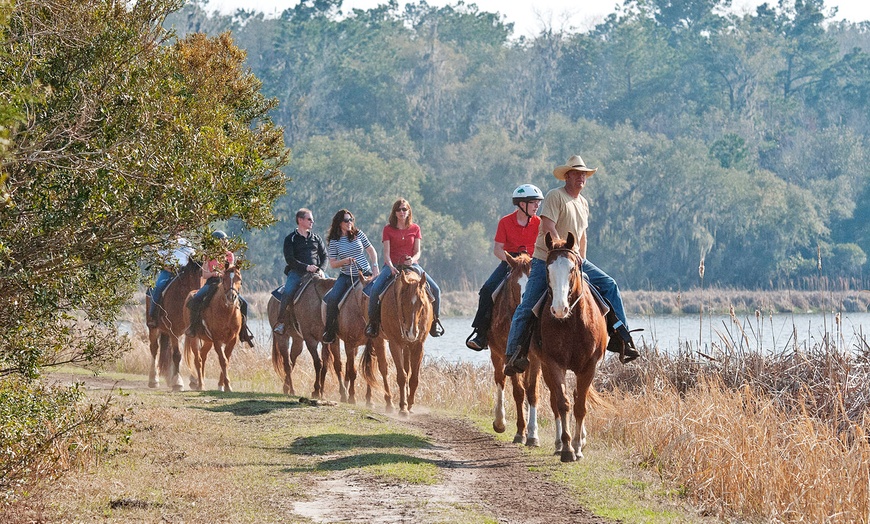 Middleton Stables in - Summerville, SC | Groupon