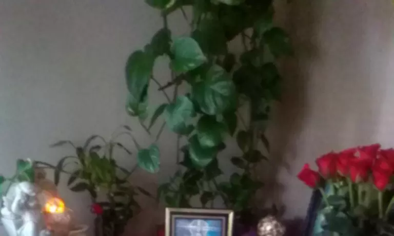 Up to 50% Off on Psychic / Astrology / Fortune Telling at Angela Merino - #1 PSYCHIC SOULMATE LOVE SPECIALIST ANGELA - Primary Image