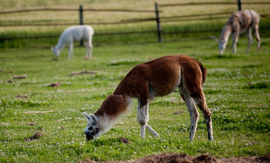 Image 5: Bilety do zoo