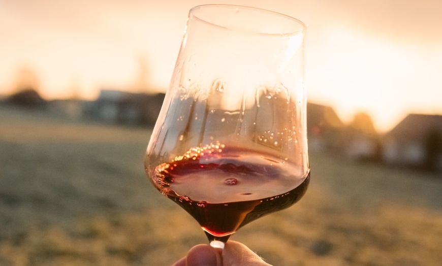 Image 6: Visita guiada y cata de vinos en Bodegas Jesús Díaz e Hijos