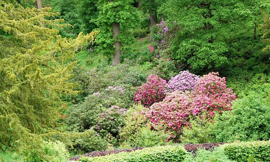 Image 11: Belvoir Castle Gardens Entry