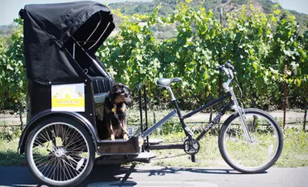 $89 for a Three-Hour Pedicab Wine Tour for Two from Sonoma Pedicabs ($200 Value) - Primary Image